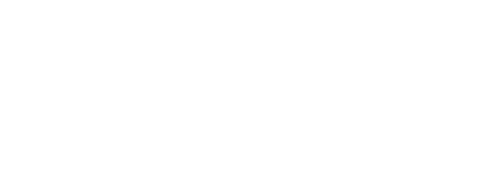 Cornerstone VNA Logo White