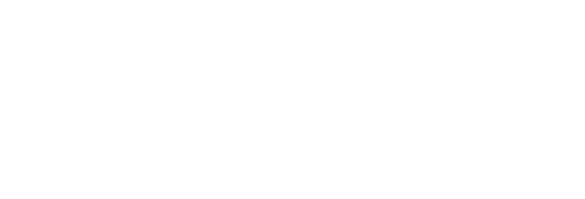 Zebra Logo White