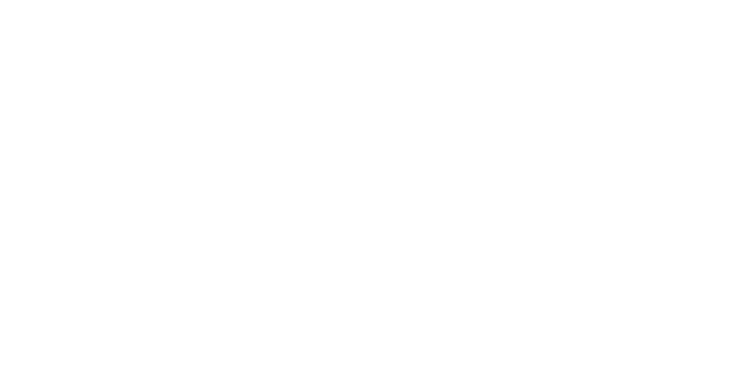 Netsmart stacked logo - white - PNG